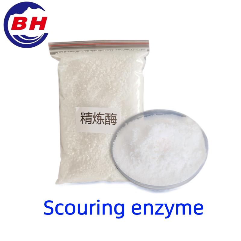 Enzym tẩy rửa H8413