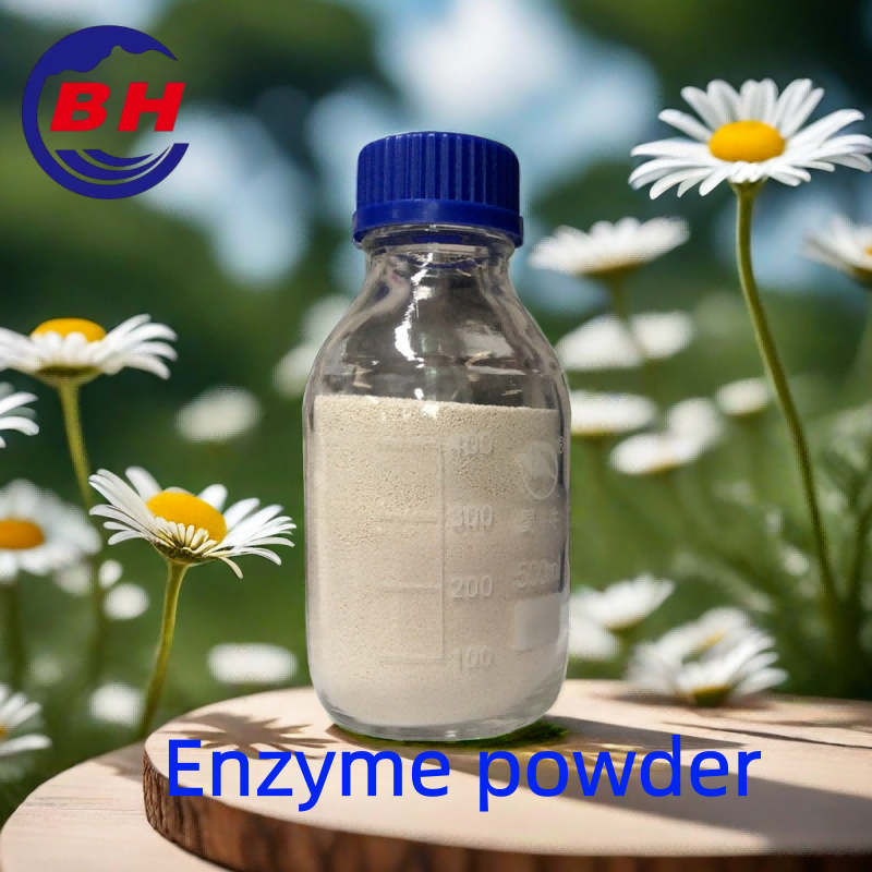 Bột enzym H8805