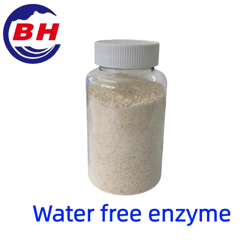 Enzim khôngnước H8811